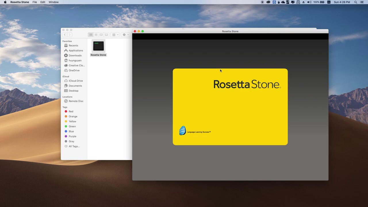 Rosetta stone setup download